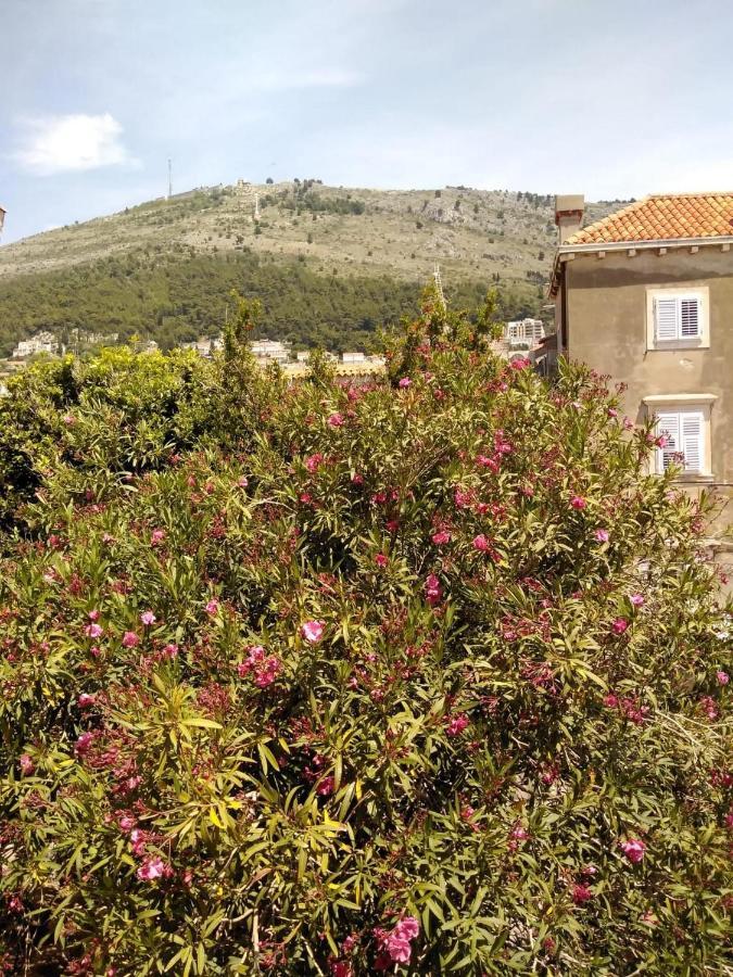 Joy Apartments Old Town Dubrovnik Extérieur photo